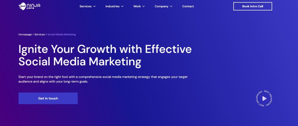 NinjaPromo is a marketing agency for SaaS